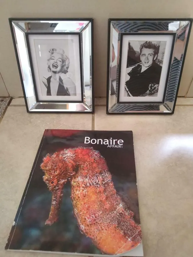 شقة Marilyn Appartments كراليندايك بونير وسينت أوستاتيوس وسابا